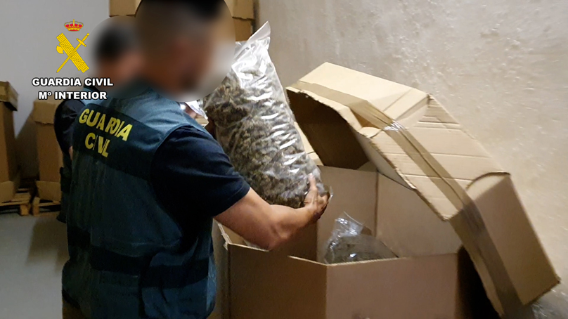 Comandancia de Toledo: La Guardia Civil incauta el mayor alijo de marihuana descubierto hasta el momento