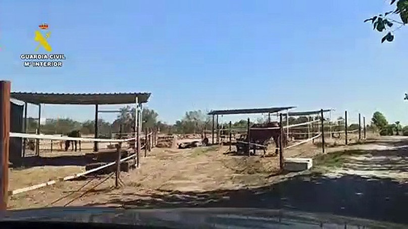 Comandancia de Tarragona. La Guardia Civil libera a un trabajador de un centro hípico de Tarragona al que explotaban en una cuadra