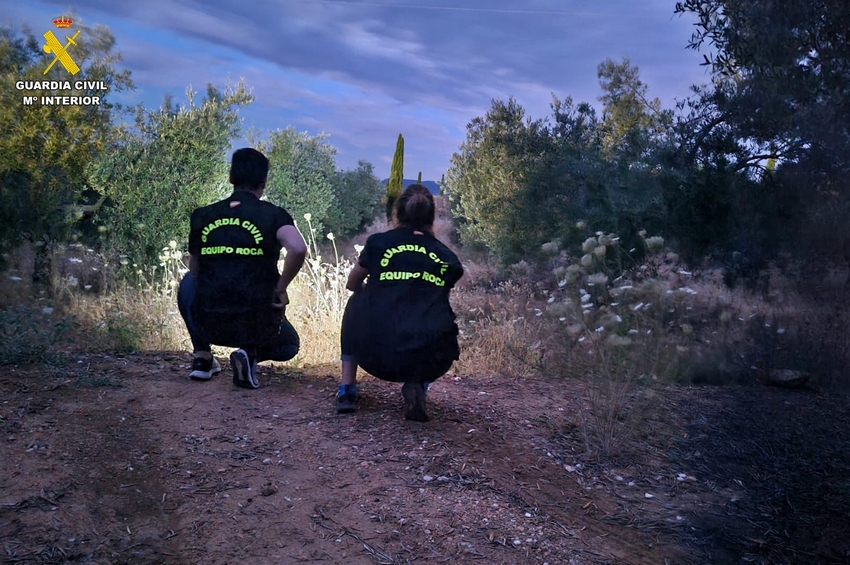 Detenidos por simular la sustracción de dos vehículos para encubrir la implicación en el robo de una casa de campo
