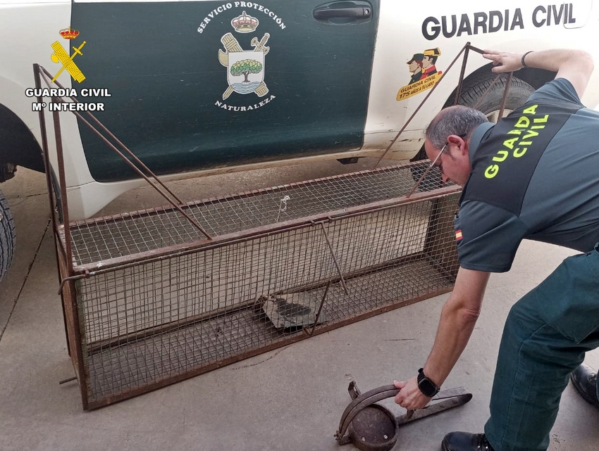 La Guardia Civil interviene artes prohibidas para la captura de animales en una finca de Montemolín