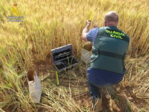 La Guardia Civil esclarece varios delitos contra la propiedad industrial en el ámbito agrario relacionados con el comercio ilegal de variedades protegidas de cereal