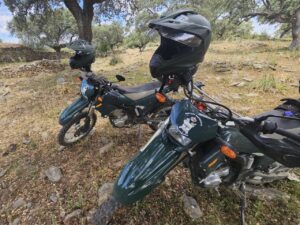 La Guardia Civil detiene a un hombre por un supuesto delito de incendio forestal en Aliseda (Cáceres)