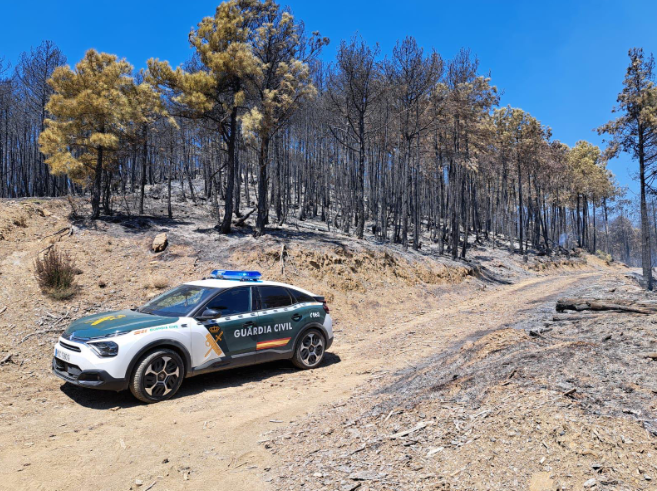 Incendio forestal en la zona de El Pueyo de Araguás (Huesca)