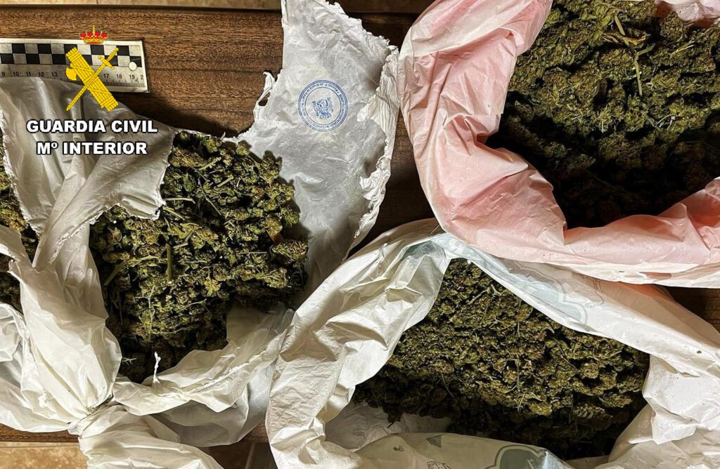 La Guardia Civil investiga a cuatro personas que pretendían introducir droga en el Festival Etnosur