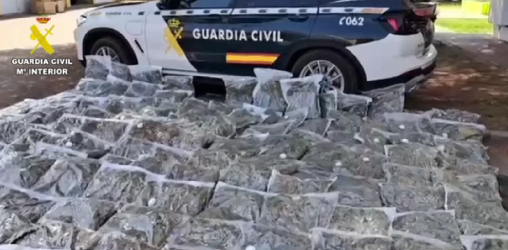 La Guardia Civil desmantela dos macroplantaciones de marihuana e incauta más de media tonelada de cogollos secos