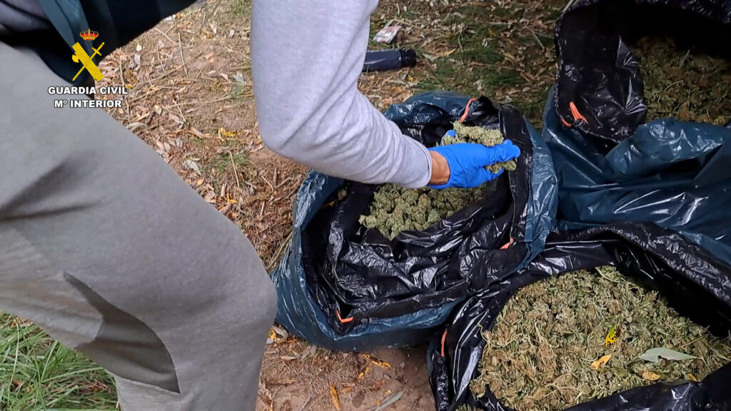 La Guardia Civil desmantela una plantación de marihuana con más de 8500 plantas