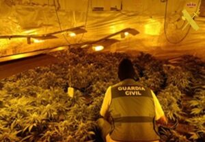 La Guardia Civil desmantela en Berja un sofisticado cultivo de marihuana en interior de vivienda