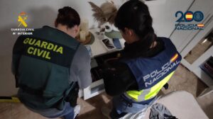 Desarticulado un grupo criminal dedicado al robo en viviendas en la isla de Mallorca con siete detenidos