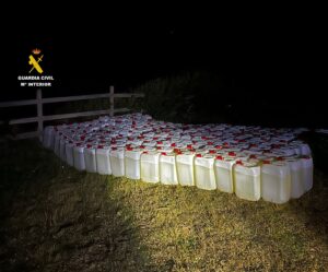 La Guardia Civil detiene a 9 personas en una actuación contra el petaqueo en la playa de Valdevaqueros
