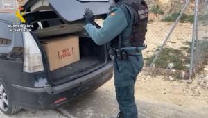 La Guardia Civil de Albacete detiene a una persona por un delito contra la salud pública