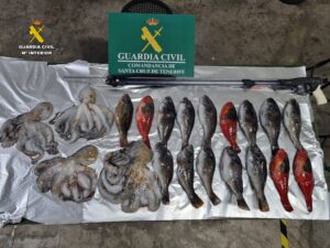 La Guardia Civil pilla infraganti a una persona realizando pesca submarina en una zona prohibida de la costa de Güímar
