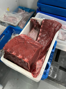 La Guardia Civil retira 14 kg de atún rojo carente de trazabilidad legal en una pescadería de L’Ampolla