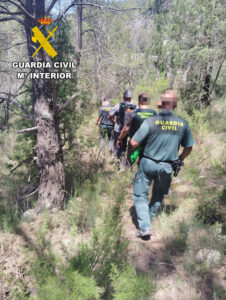 La Guardia Civil de Teruel evita la reactivación de una plantación de marihuana en Fuentes de Rubielos y detiene a dos personas