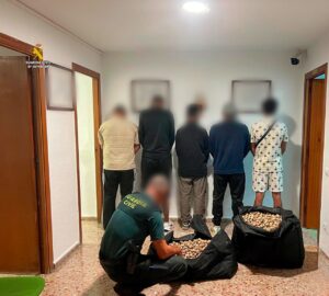Detenidas cinco personas por transportar 28 kg de adormidera en la localidad de L’Aldea (Tarragona)