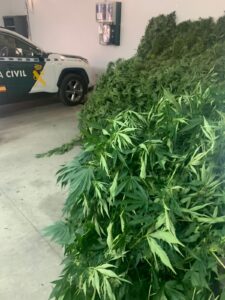 La Guardia Civil investiga al supuesto autor de un delito contra la salud pública.