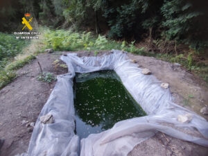 La Guardia Civil de Teruel, detiene a dos personas y desmantela una plantación de marihuana con 1.700 plantas, en Valderrobres