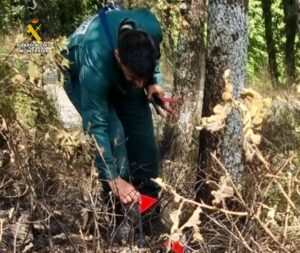 La Guardia Civil detiene e investiga a 10 personas por incendios forestales en la provincia de Cáceres