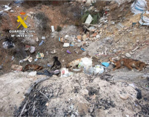La Guardia Civil de Teruel investiga a una persona como presunta autora de un delito de maltrato animal en Albentosa