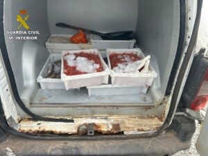 La Guardia Civil interviene en La Gomera más de 28 kg de pescado y marisco transportados en un vehículo de forma irregular