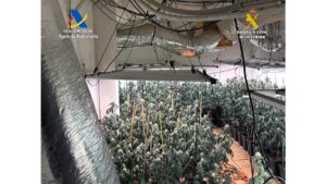 La Guardia Civil y la Agencia Tributaria detienen a diez personas en una operación conjunta contra el cultivo de marihuana