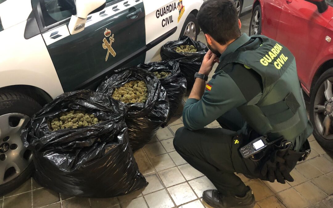 La Guardia Civil detiene a un individuo tras encontrar en el interior de su vivienda diecisiete kilos de marihuana