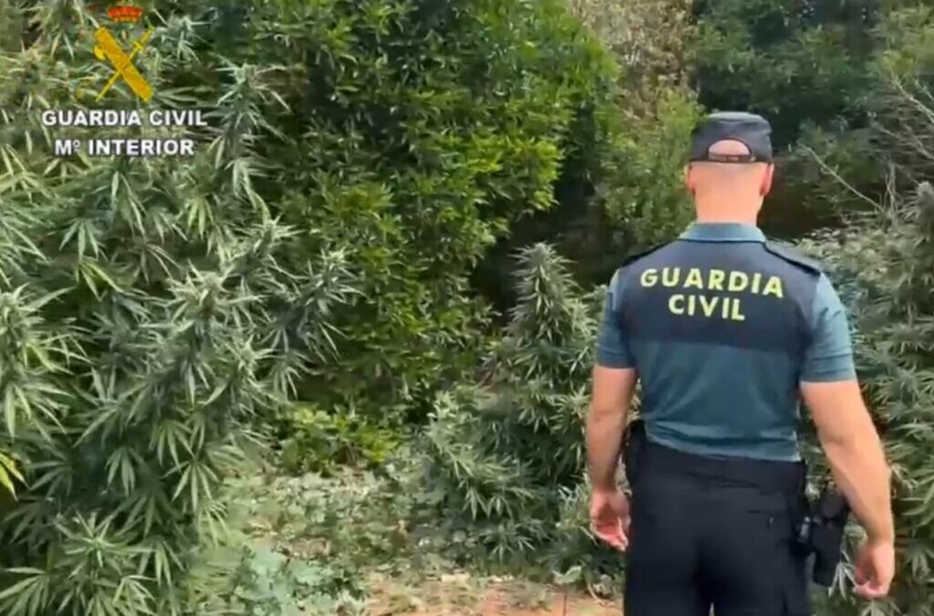 La Guardia Civil ha llevado a cabo una inspección en materia de bienestar animal en la localidad de Ses Salines