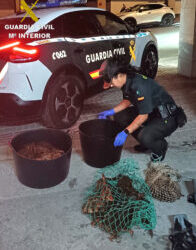 La Guardia Civil denuncia a un furtivo en Moaña tras localizarle con más de 25 kilos de marisco