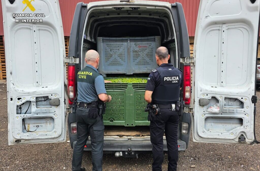 Investigados dos trabajadores de una empresa de transporte por apoderarse de 9.000 kg de aceitunas