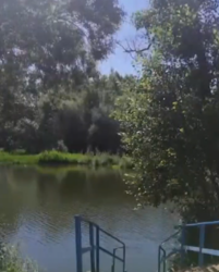 La Guardia Civil investiga a una persona por introducir una especie exótica invasora en el río Águeda