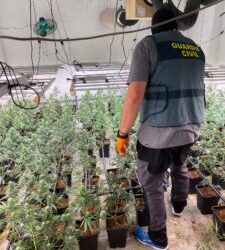 Desarticulada una organización criminal asentada en Albolote dedicada al tráfico internacional de marihuana