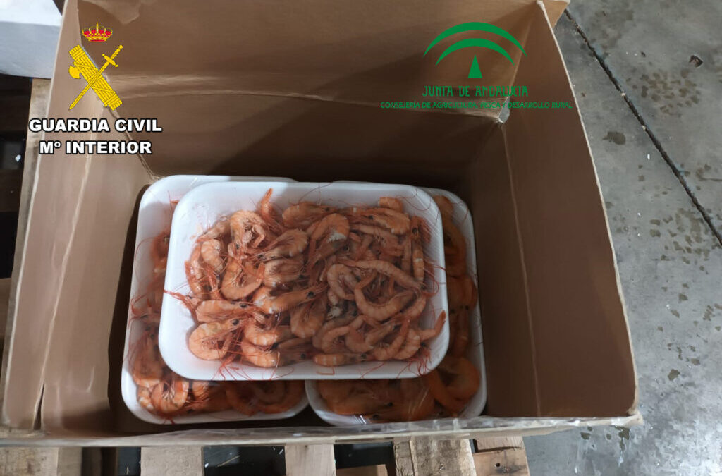La Guardia Civil, ha intervenido 8,5 kilogramos de pescado y crustaceo, no apto para el consumo