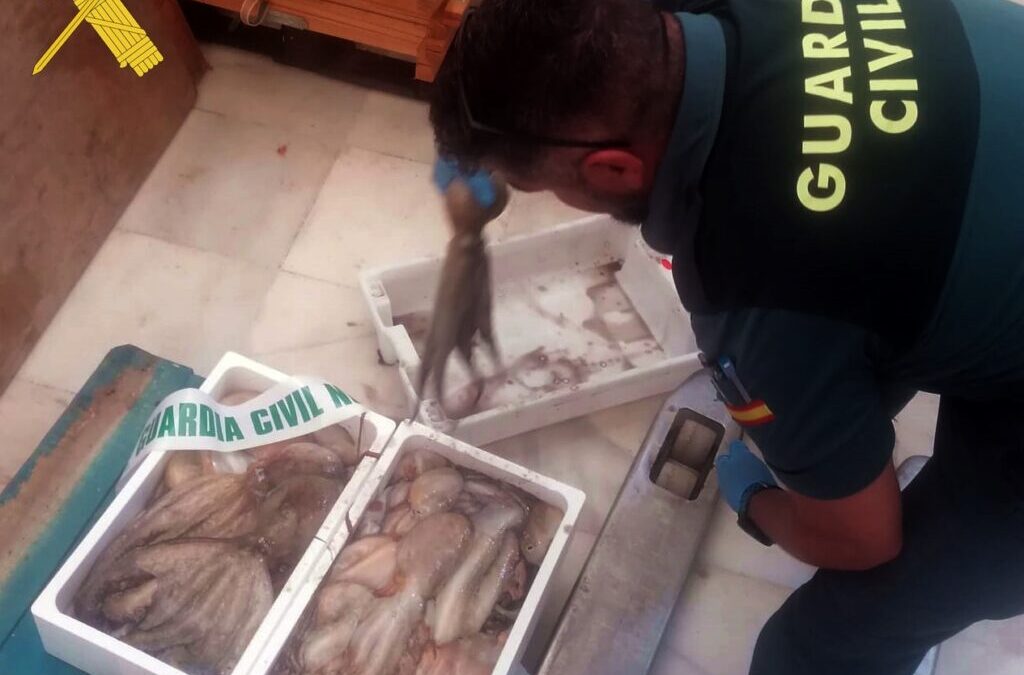 La Guardia Civil de Almería realiza actuaciones preventivas para proteger la biodiversidad marina y terrestre