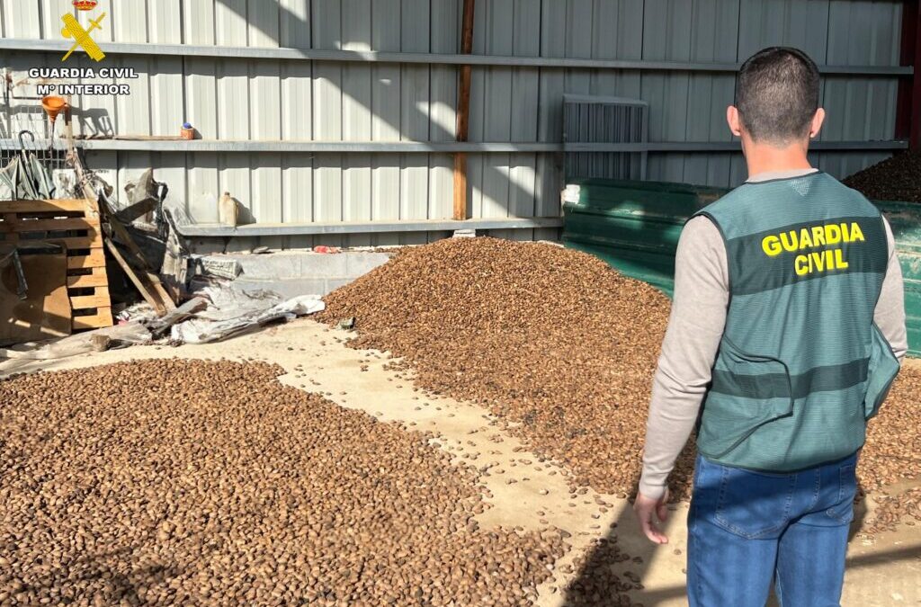La Guardia Civil investiga a dos personas por hurtar 5.000 kilogramos de almendras