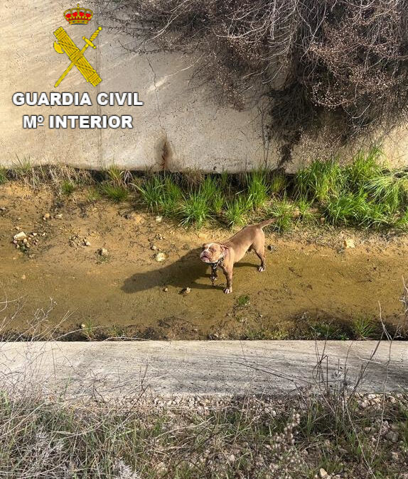 La Guardia Civil rescata un perro de un canal de agua