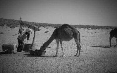 Los pozos en el desierto del Sahara