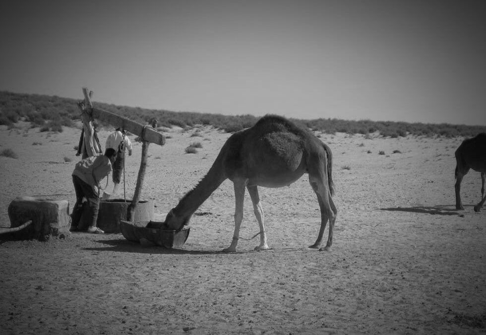 Los pozos en el desierto del Sahara